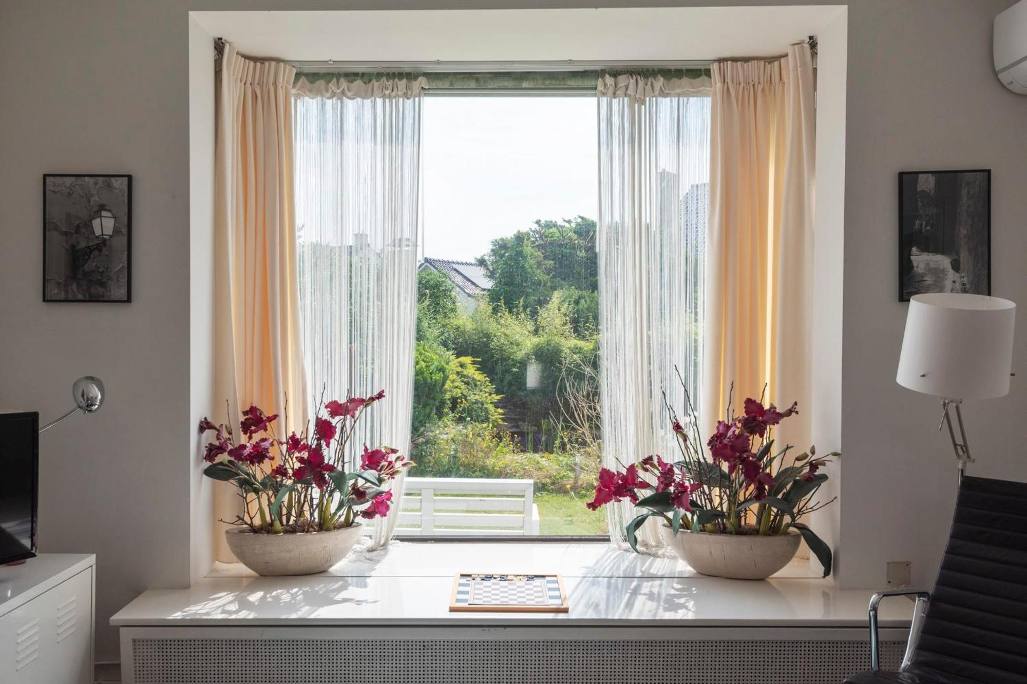 Apartment De Drie Tulpen Zandvoort Εξωτερικό φωτογραφία